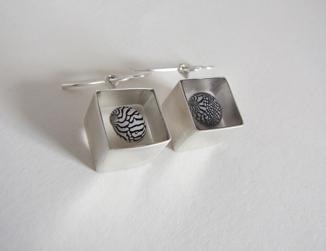 Ear Rings Silver & Zebra Shells : $44