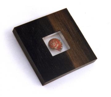 Square Pendant or Brooch Ebony & Pink Umbonium : $94